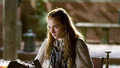 Sansa Stark - game-of-thrones photo