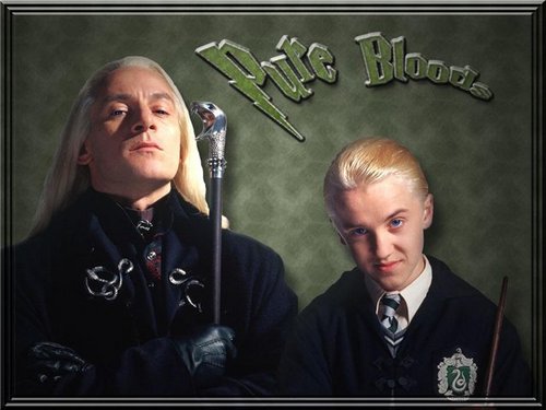 lucius and draco
