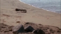 ncis - 1x03- Seadog screencap