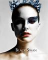 Black Swan Fanart - natalie-portman photo
