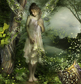 Magical - fairies photo