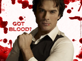 the-vampire-diaries-tv-show - GOT BLOOD? wallpaper