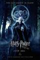 Harry Potter and and the Deathly hollows Part2 poster - harry-potter photo
