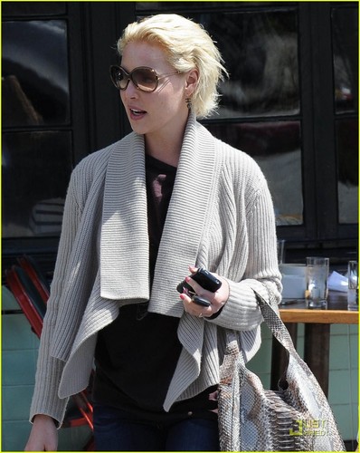 Katherine Heigl: 'One for the Money' Delayed to 2012