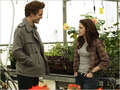 OLD PICTURES FROM THE TWILIGHT SET - twilight-series photo