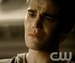 TVD :D - the-vampire-diaries-tv-show icon