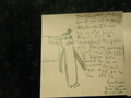 The Penguins in school,the teacher's response(last pic) - penguins-of-madagascar fan art