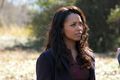 2.17 Know Thy Enemy  - the-vampire-diaries photo