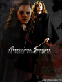 Hermione Fan Art - hermione-granger fan art