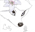Lilly drawing - alpha-and-omega fan art