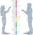 Male vs. Female colors - random photo