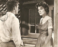 Spencer's Mountain - classic-movies photo