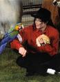 Michael Jackson ^______^  - michael-jackson photo