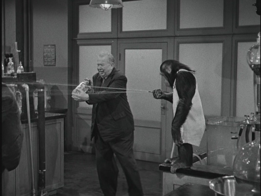 Monkey Business (1952) - Classic Movies Image (20501678) - Fanpop