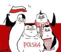 POM visits Poland - penguins-of-madagascar fan art