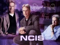 ncis - Silver Haired Fox wallpaper