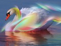 bright-colors - Swan ♥ wallpaper