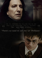 There's no need to call me 'sir' - severus-snape fan art