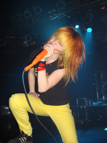  Yellow Bangs 2007