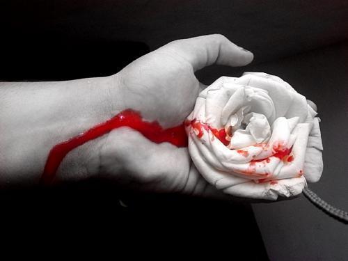 blooding rose