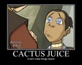 Cactus Juice - avatar-the-last-airbender photo
