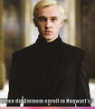 Draco Malfoy/Eminem - harry-potter photo