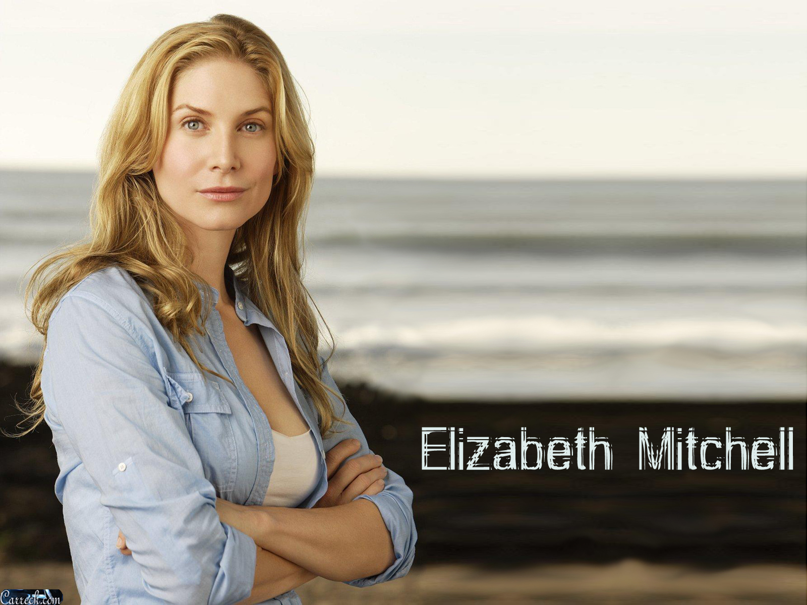 Elizabeth Mitchell - Picture Actress
