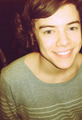 Flirt Harry (Ur Smile Lights Up The Whole Town & My Heart) 100% Real :) x - harry-styles photo