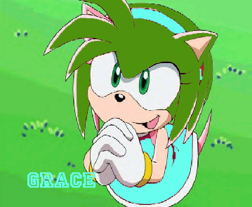  Grace the hedgehog