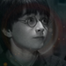 HP Icons - harry-potter icon