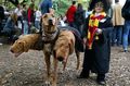 Harry Potter With Fluffy - harry-potter photo