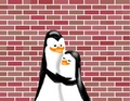 Marski! (Marika and Kowalski ) - penguins-of-madagascar fan art
