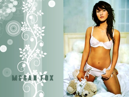  Megan zorro, fox fondo de pantalla ☆
