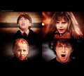 Ron,Hermione,Draco&Harry ^-^ - harry-potter photo