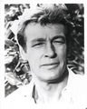 Russell Johnson as The Professor - gilligans-island photo