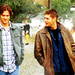 SPN icons - supernatural icon