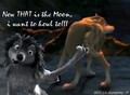 The Moon, Humphrey wanna to Howl to! - alpha-and-omega fan art