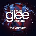 The Warblers - glee photo