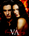 Vampire Academy poster - vampire-academy photo