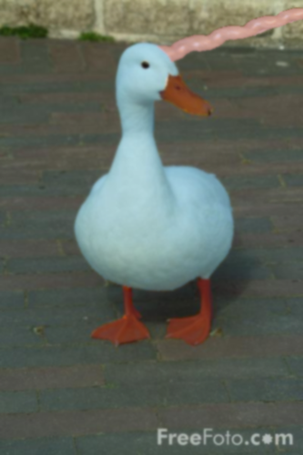  the uniduck