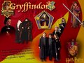 Gryffindor: CoS - harry-potter photo