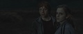 Harry Potter and the Deathly Hallows Part1 - harry-potter screencap