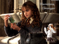 Hermione: CoS - harry-potter photo
