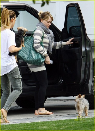 Hilary Duff: What's Up, Pup?