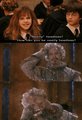 How can you be nearly headless? - hermione-granger photo