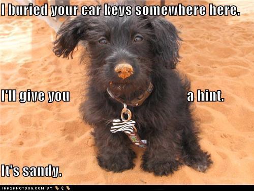 I buried your car keys somewhere here. I’ll give you a hint. It’s sandy.