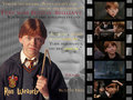 Ron Weasley: CoS - harry-potter photo