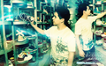 david-archuleta - Shopping with Archie wallpaper