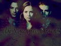 the-vampire-diaries-tv-show - The Vampire Diaries ღ wallpaper