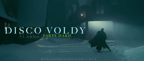  Voldemort.